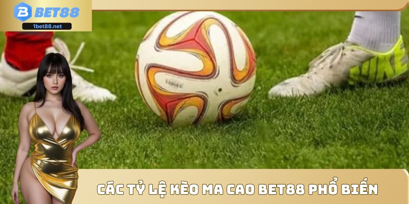 Những loại tỷ lệ cược Ma Cao nổi bật mà bạn nên nắm rõ