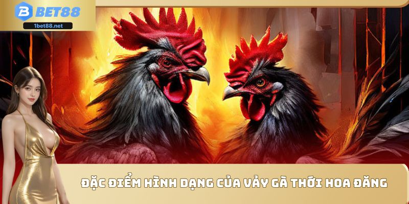 Tìm hiểu để không bỏ lỡ một chiến kê tiềm năng 